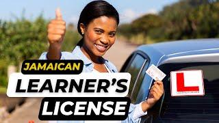 How to Get Your Learner's License in Jamaica in 2024