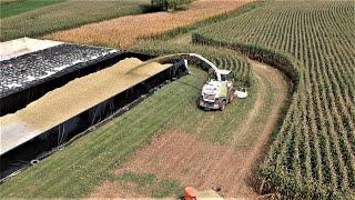 Corn Silage Harvest Efficiency