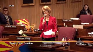 Senator Heather Carter on Wear Red Day 2020 in Arizona