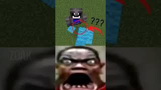 wtf?? #minecraft #moment #memes #fun