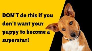 5 Pawsome Tips for Dog Training: Turn Your Furry Friend into a Superstar!