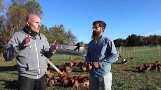 The BEST Pastured Poultry System Out There - Truly Free Range