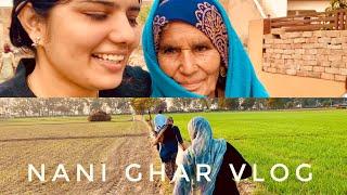 Nani ghar visit after longtime  #village #villagelife