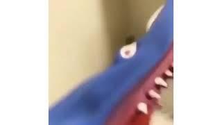 Shark puppet tiktok