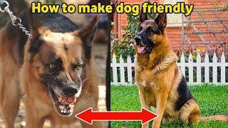 Make Youdog Friendly in easy way / control dog aggression