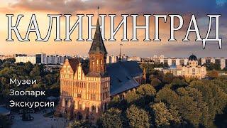 КАЛИНИНГРАД | Ч.1 | Что посмотреть | Экскурсии Музеи Места | #2024 #travel