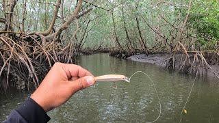 FOI QUANDO A MARÉ VAZOU QUE O BICHO PEGOU. Essa isca fez estrago. Pescaria de Robalo no inverno.