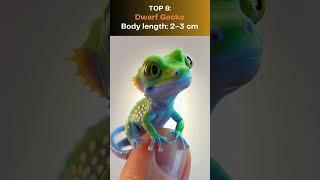 Top 10 smallest animals in the world