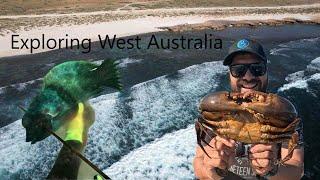 Huge Mud crabs - Spearfishing - Foraging - New species