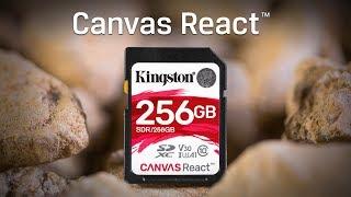 Class 10 UHS-I SD Cards - Canvas React - Kingston Technology
