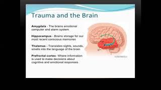 KBSP Webinar: Formulating Post Traumatic Stress Disorder within Domestic Violence and Abuse