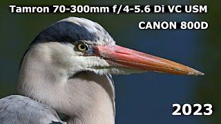 Tamron 70-300mm f/4-5.6 Di VC USD - Wildlife Photography (Canon 800D)