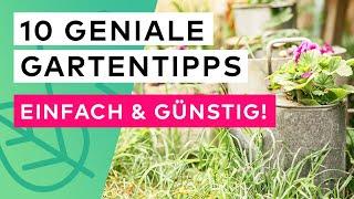 10 Geniale Gartentipps: Einfach & Günstig!