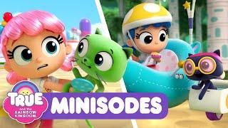 2 Minisodes! | Cosmic Feather & Rainbow Race | True and the Rainbow Kingdom