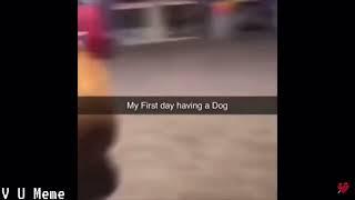 My first day having a dog meme