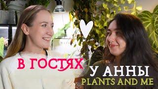 В гостях у ЦВЕТОВОДА @anya.plantsandme | обзор РАСТЕНИЙ