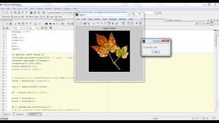 leaf disease grading system||final year Matlab projects at Bangalore|trichy|pune|chennai