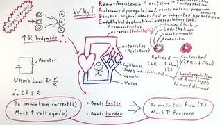 Hypertension: High Blood Pressure - One Minute Medical School