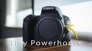 Canon 200D – eine kleine, leistungsstarke DSLR