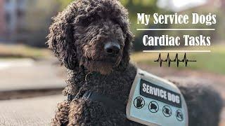 My Service Dogs POTS Tasks