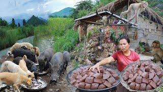 survival in the rainforest-found bamboo shoot with chicken blood for cook & give to pets HD