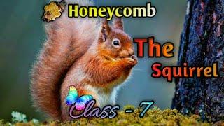 The Squirrel | Honeycomb | Learn with Anisha