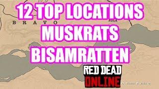 12 Locations Muskrats Bisamratten Red Dead Redemption 2 Online Deutsch