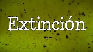 ️¿Qué es Extinción?️