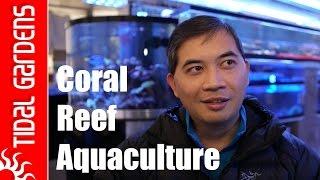 Coral Reef Aquaculture