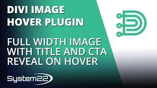 Divi Theme Hover Effects Full Width Image With Title And CTA Reveal On Hover 