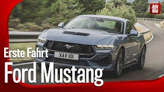 Ford Mustang (2024) | Fords heißester Hengst reitet weiter | Fahrbericht mit Thomas Geiger