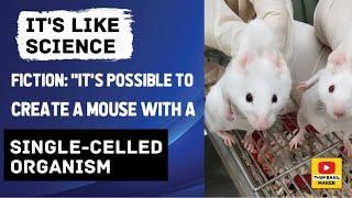 It's like science fiction: "It's possible to create a mouse with a single-celled organism"