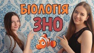 Як написати ЗНО з біології на 200 балів | Нина Коробко w/ Полина Яремчук