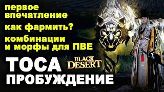 ТОСА пробуждение: Скилы, билды, комбы на фарм и первые впечатления - НЕ гайд в BDO - Black Desert