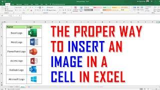 How to Insert an Image in Excel Cell which moves with Filters