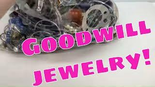 The Goodwill Box 5lb Mystery Jewelry UNBOXING! Was it worth it???