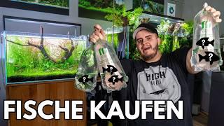 Fische kaufen für mein 60cm Nature Aquarien!