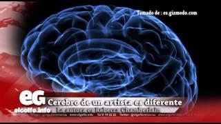 Demuestran que cerebro de un artista es diferente @elgolfoveracruz