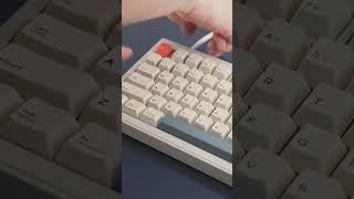 Best budget aluminum keyboard ? “ Cidoo V75 Pro “  #shorts #keycaps #keyboard #setup  #typing  #asmr