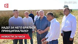 Лукашенко незапланированно посетил сельхозпредприятие | Пустые трибуны на Олимпиаде? | Новости 24.07
