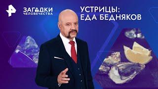 Устрицы: еда бедняков — Загадки человечества (26.11.2024)