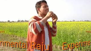 Match Box Experiment // Science Experiment With Match Box //  Experimantal Raju //