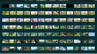 ffmpeg scene detection - automatically cut videos into separate scenes