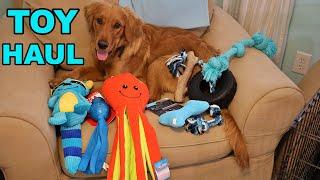 Durable dog toys: which one will last?