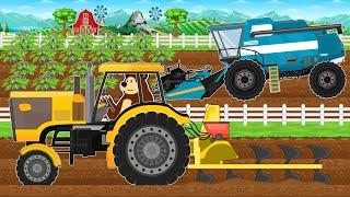 Yellow Tractor and Blue Combine Harvester - Planting and Harvesting Eggplants | Bear Farm Animated