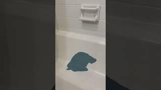 Lost $300 + days refinishing bathtub with bathworks refinishing kit | DIY fail | Renovation mistake