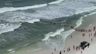 Beachgoers Form Human Chain to Rescue Swimmer From Rip Current