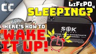 How to Wake a Sleeping LiFePO4 Battery  Charge a Fully Depleted Lithium Iron Phosphate Battery