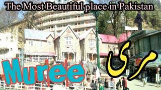 Muree Pakistan |Most Beautiful Place |Hill Station |Muree Tourist Point |Sajjad Gallery