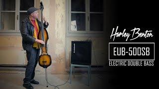 Harley Benton Electric Upright Bass (EUB500 / Double Bass Review)